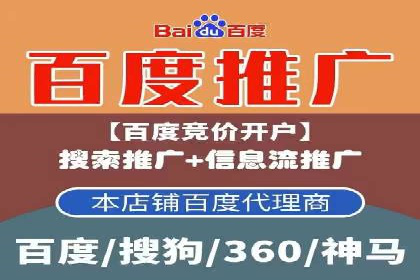 某科技公司的信息流广告投放策略与效果评估
